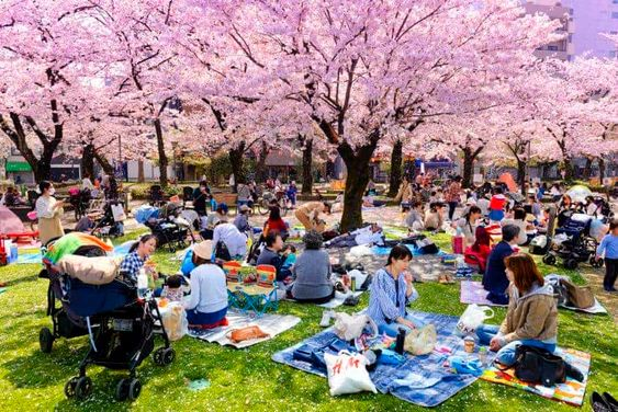 Melhores curiosidades sobre o Japão.